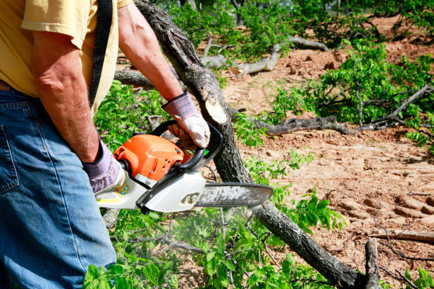 Soil Testing and Treatment in Keeseville, NY